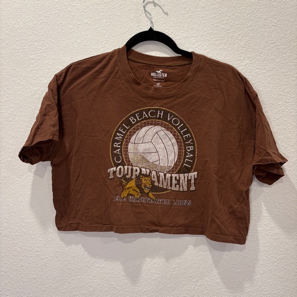 Hollister Tops - Hollister Carmel Beach Volleyball Cropped Graphic Tee Brown Womens Small